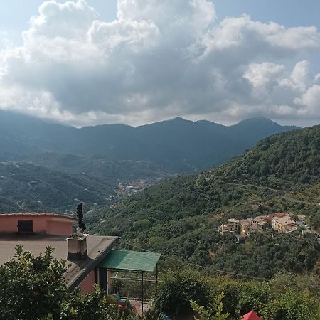 Casa Lorenzo Sulle Colline Di Levanto E Vicino Alle Cinqueterre Lt-0620 Eksteriør billede